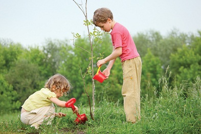 дети сажают деревья